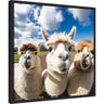 Funny Llama Selfie by The Creative Bunch Studio