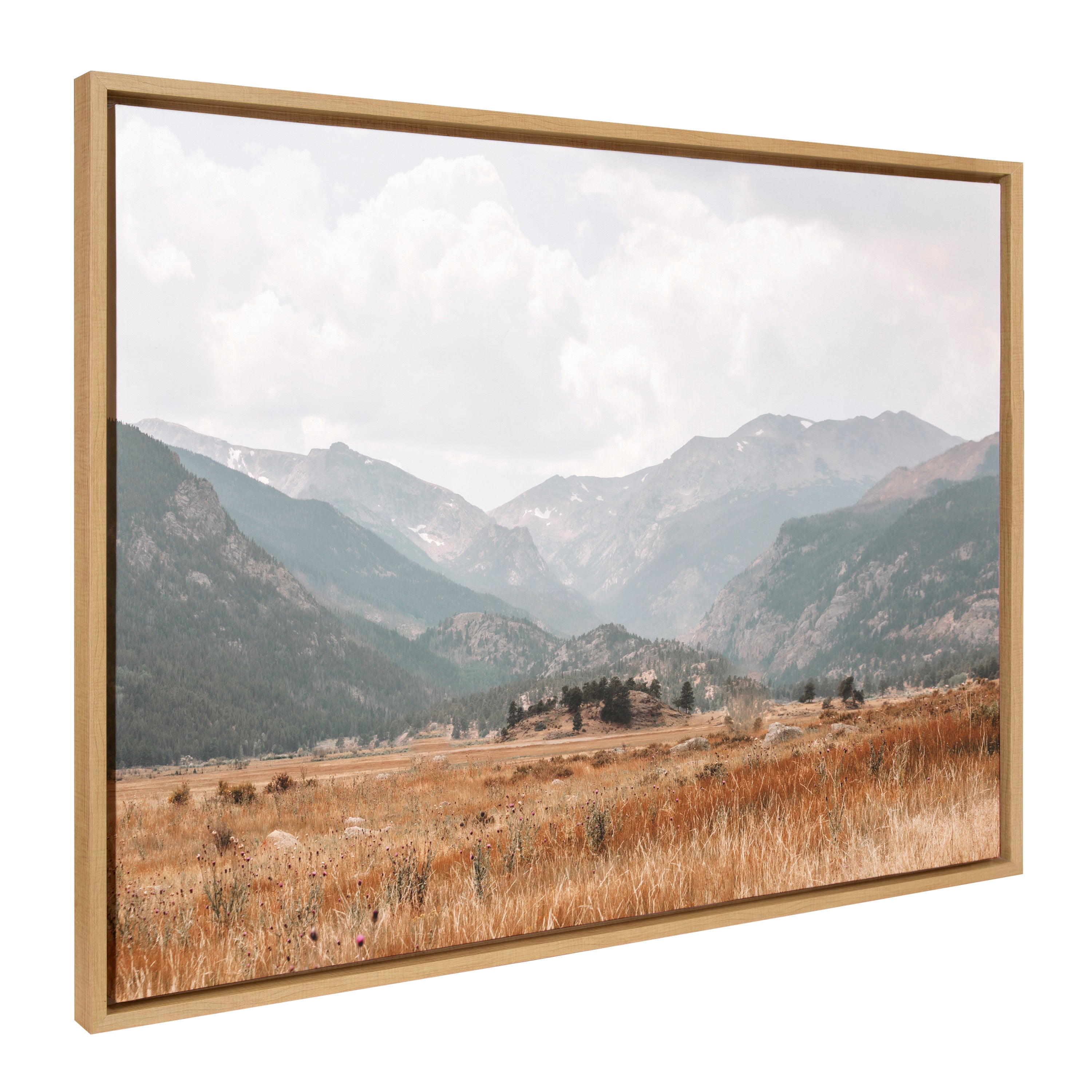 Framed Canvas 28x38 Sylvie Natural 1