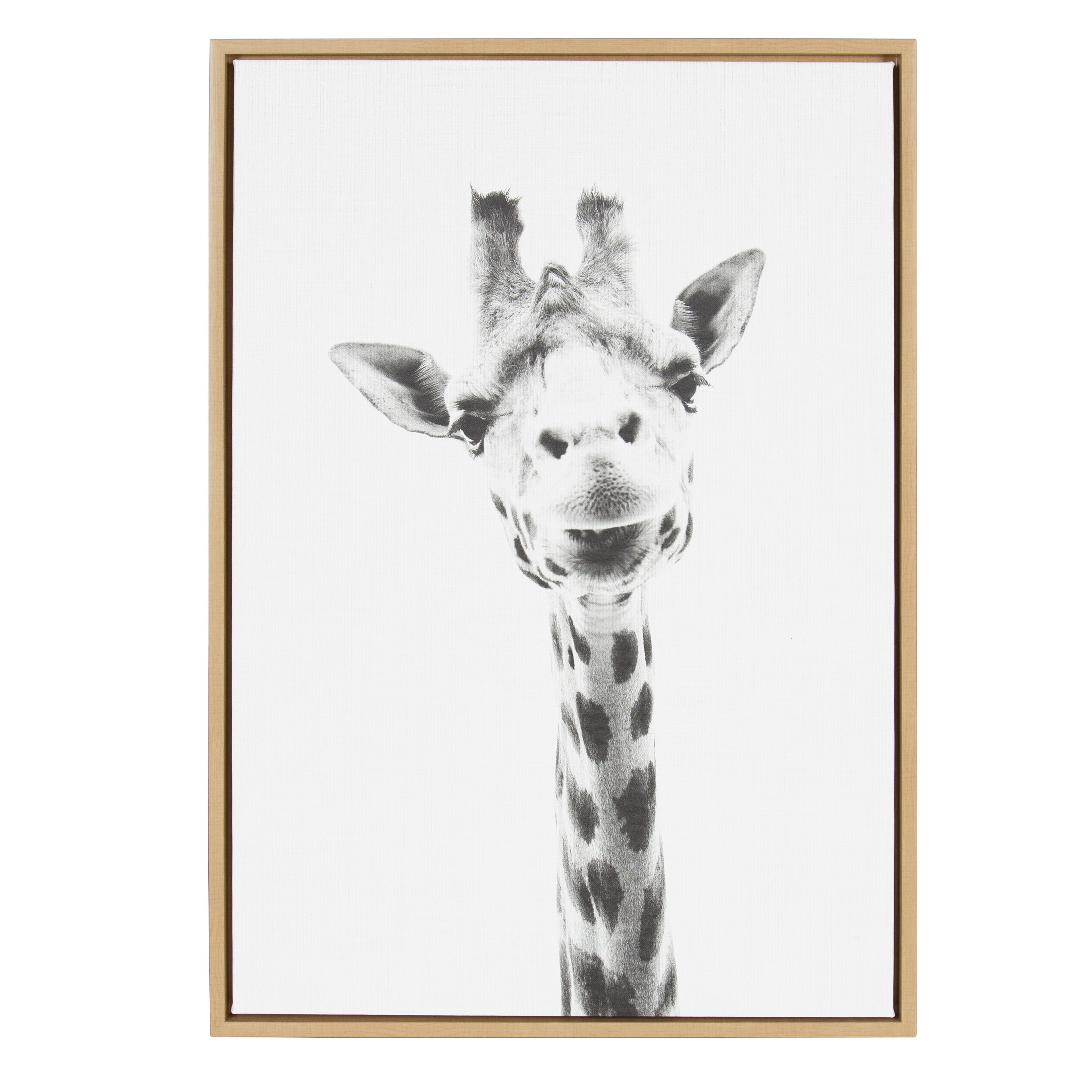Framed Canvas Sylvie Natural 23x33 1