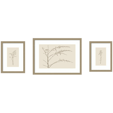 Framed Art Set 3 Piece Set 15x20/24x32 Belmont Distress Silver 1