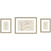 Framed Art Set 3 Piece Set 15x20/24x32 Belmont Distress Silver 1