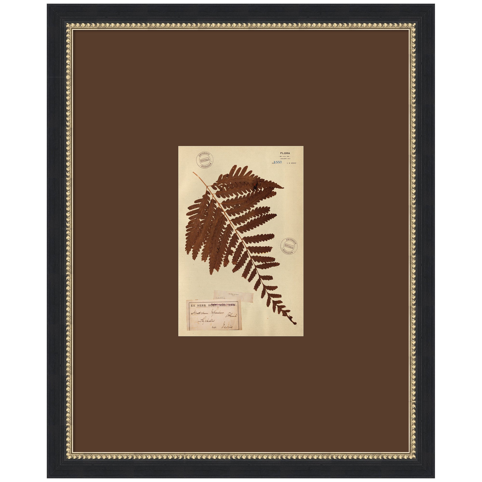 Framed Art 18x22 Belmont Black 1