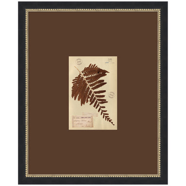 Framed Art 18x22 Belmont Black 1