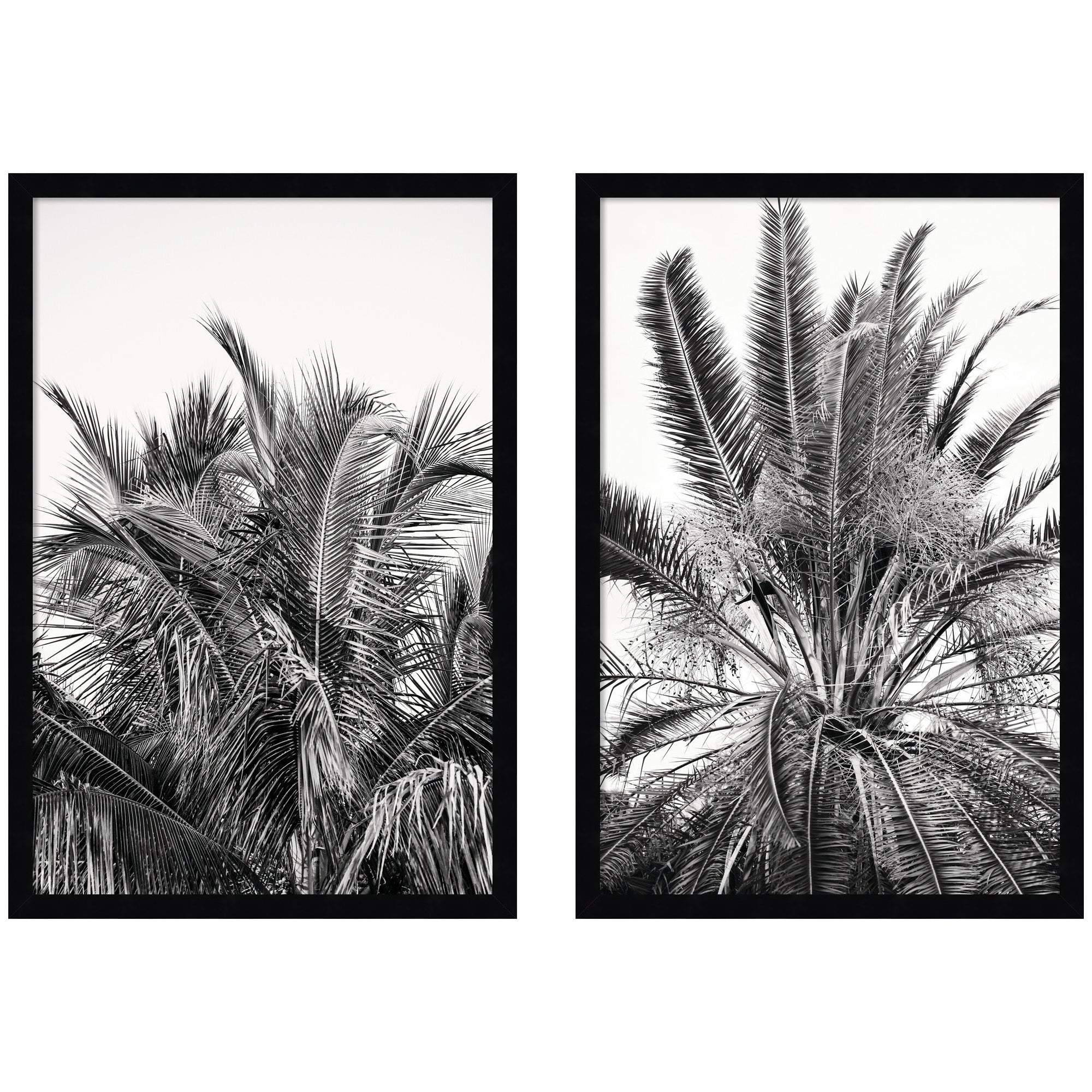 Palm No. 13 & 15 2 Piece Framed Wall Art Print Set by Alicia Bock