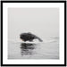 Framed Art Svelte Noir Black 25x25 1