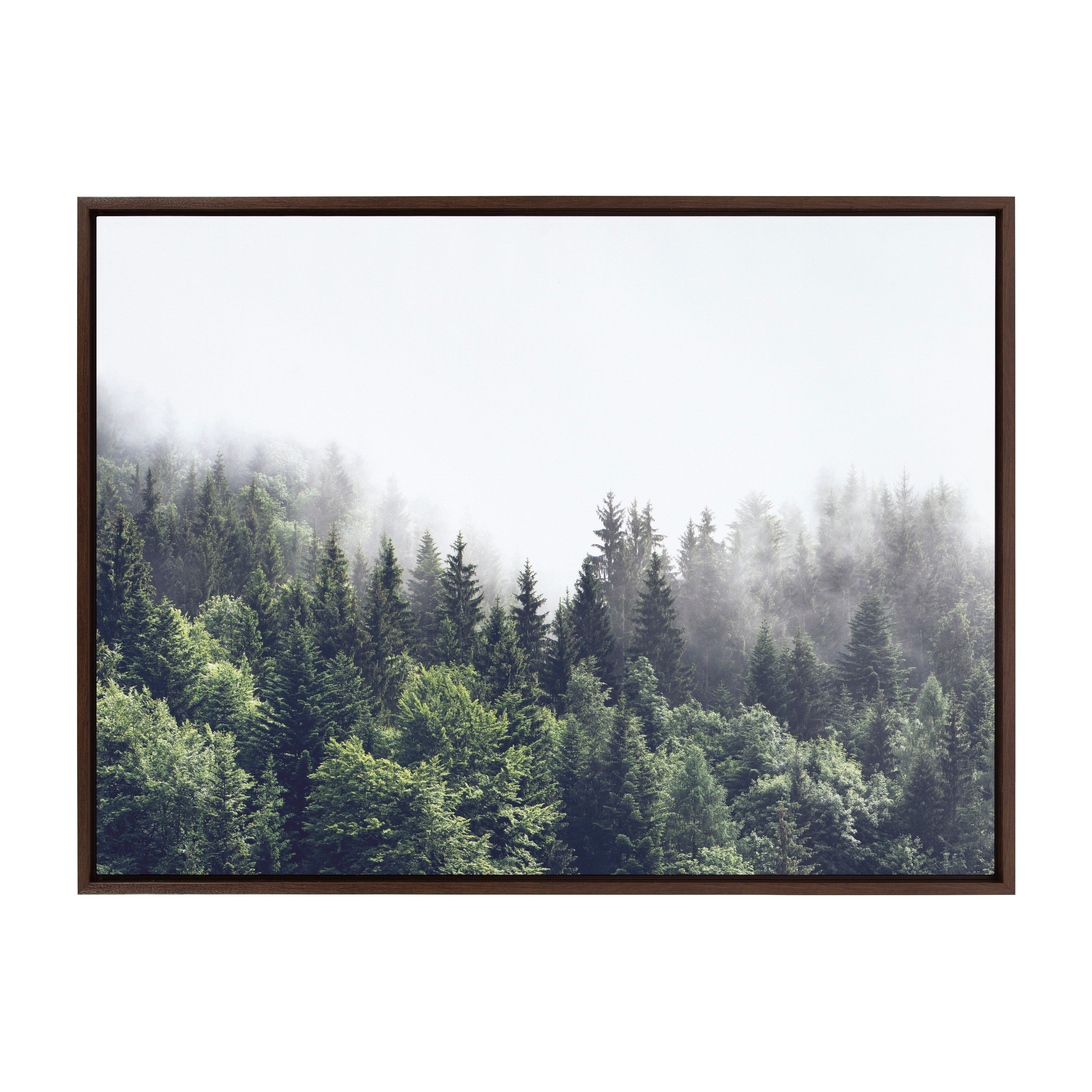 Framed Canvas Sylvie Walnut 28x38 1