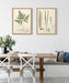 Art Set 2 Piece Set 18x24 Sylvie Natural 7