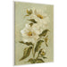 Framed Canvas Sylvie Beaded White 28x38 1