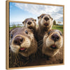 Funny Otter Selfie by The Creative Bunch Studio