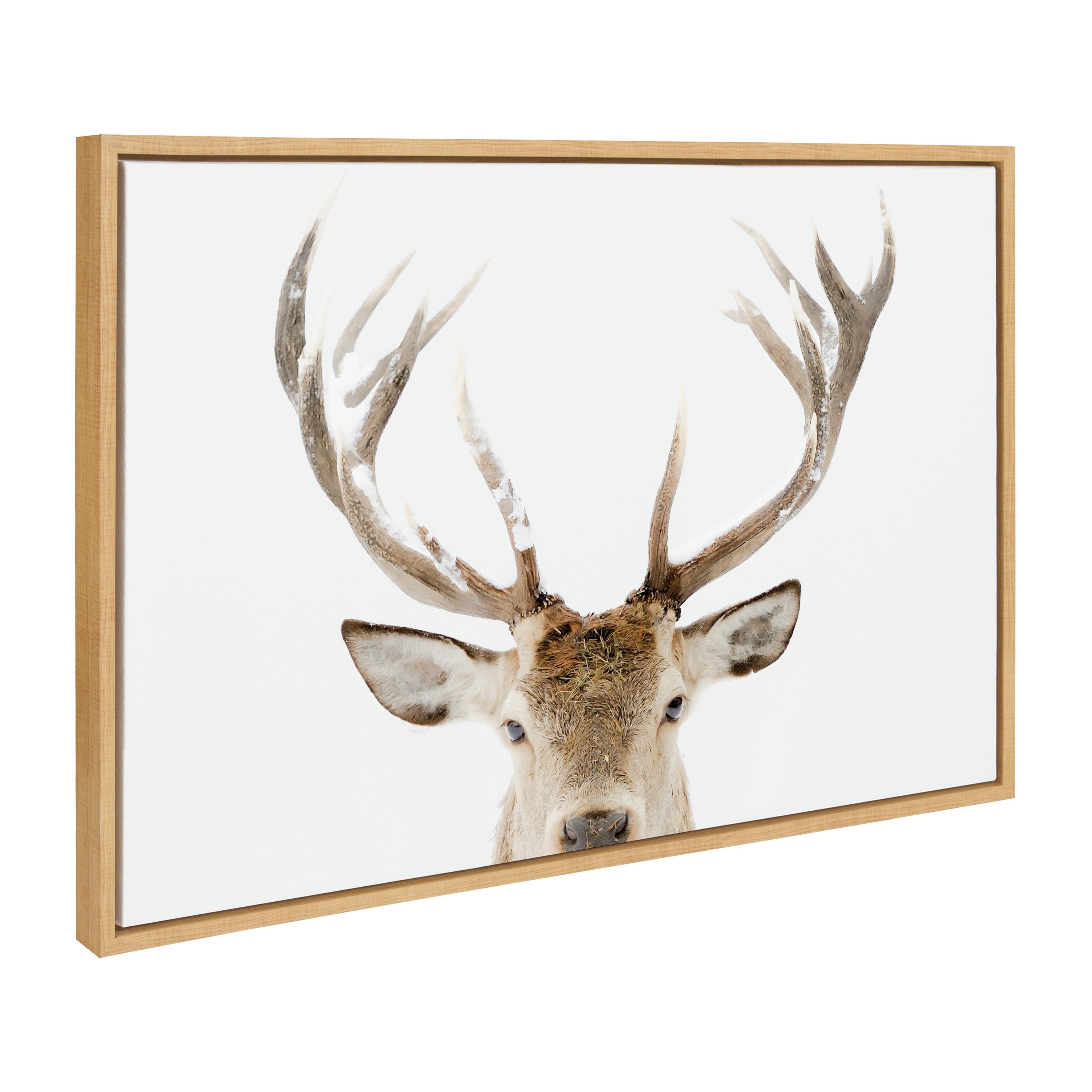 Sylvie Stag Peekaboo Framed Canvas by Amy Peterson Art Studio
