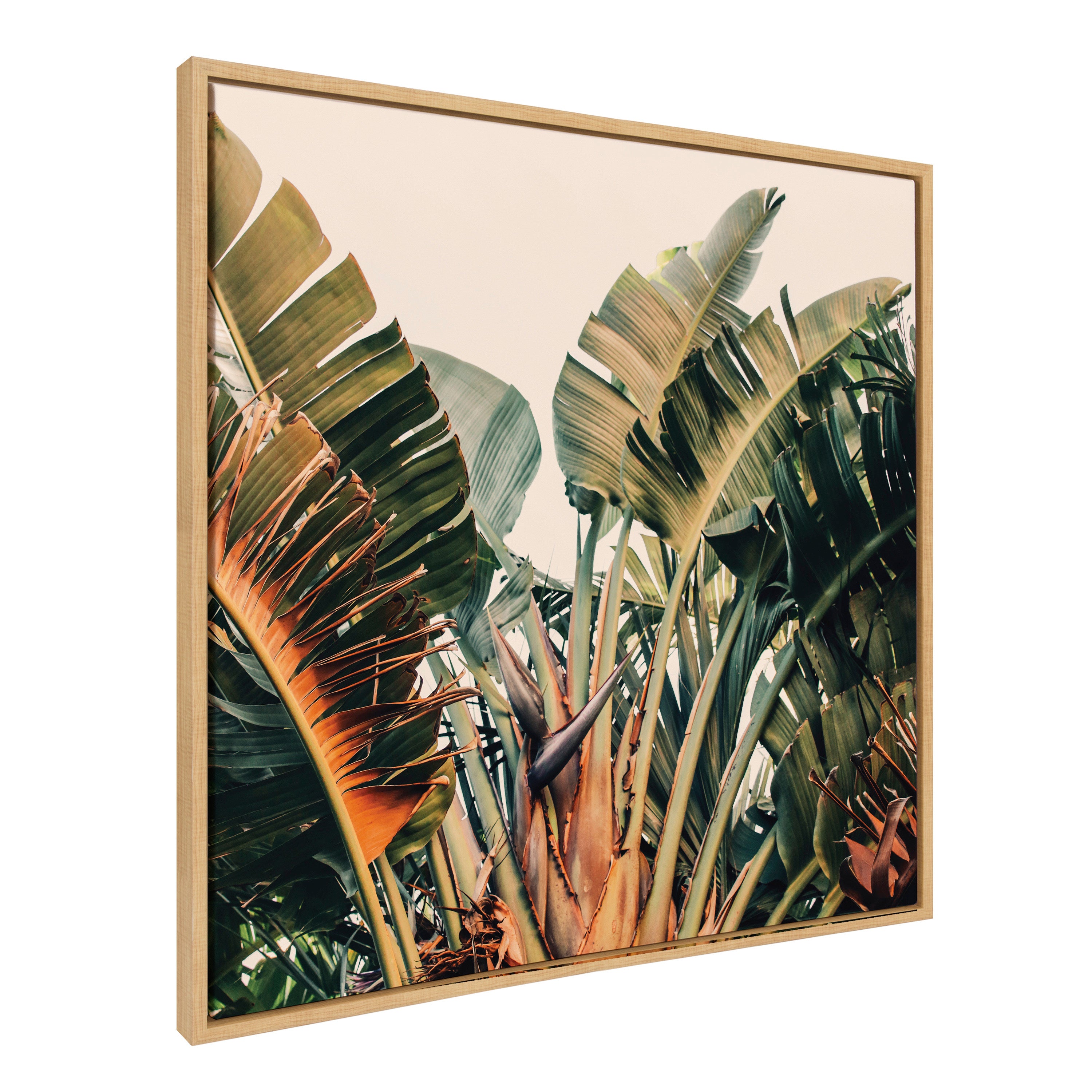 Sylvie Hue 2 Framed Canvas by Alicia Bock