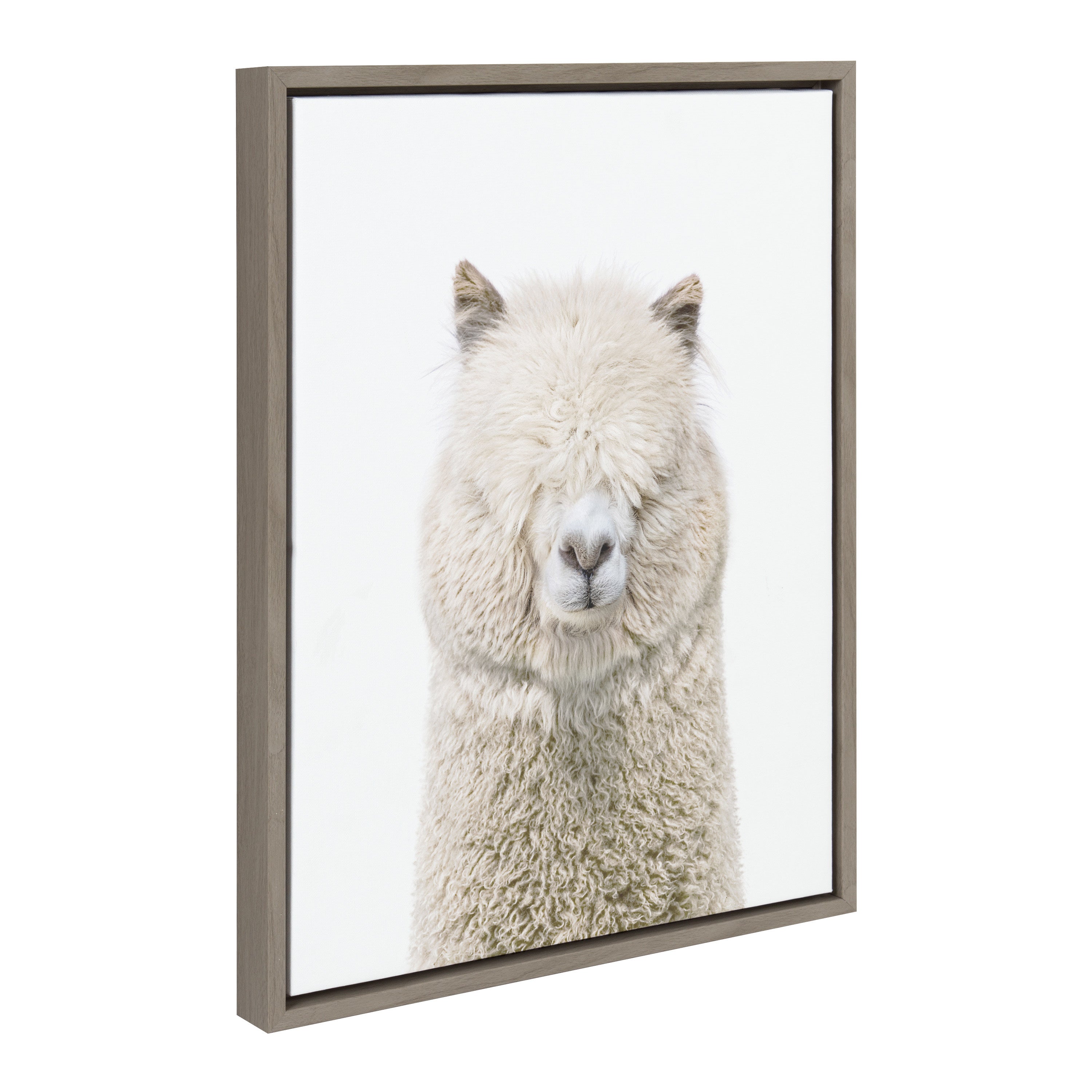 Framed Canvas Sylvie Graywash 18x24 1