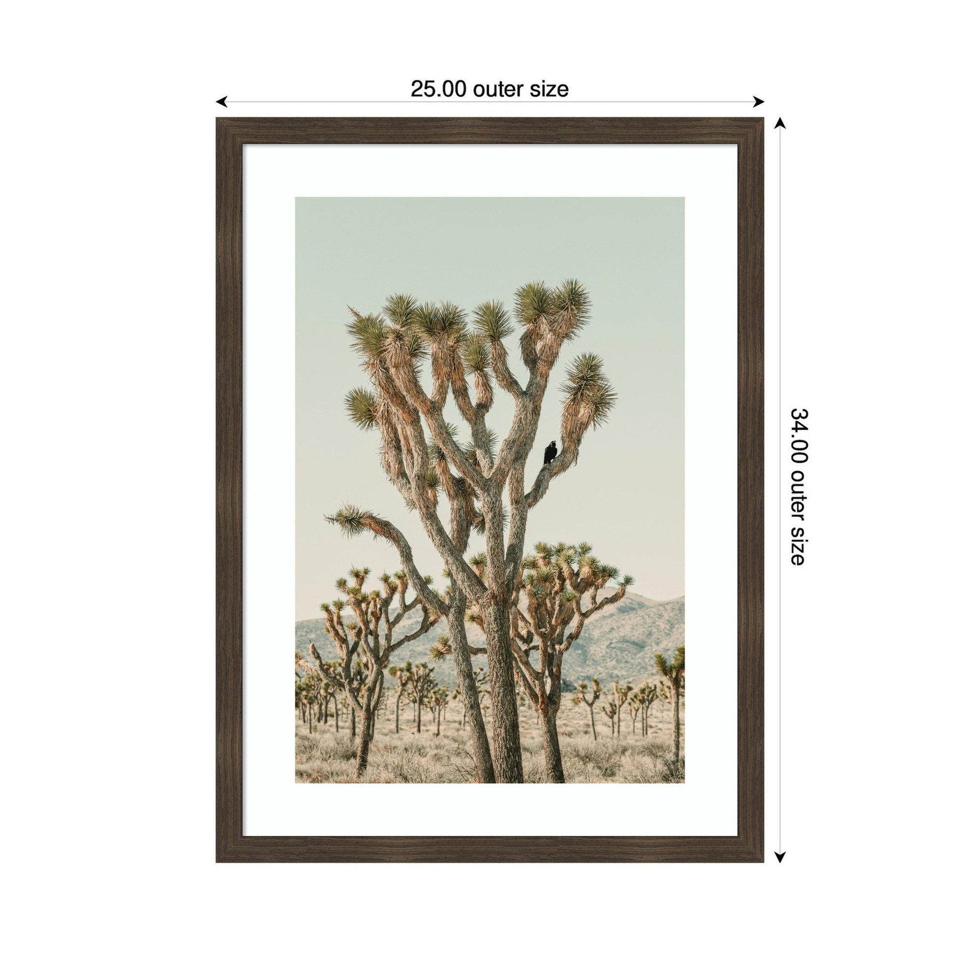 Joshua Tree With Crow by Alicia Bock Framed Wall Art Print
