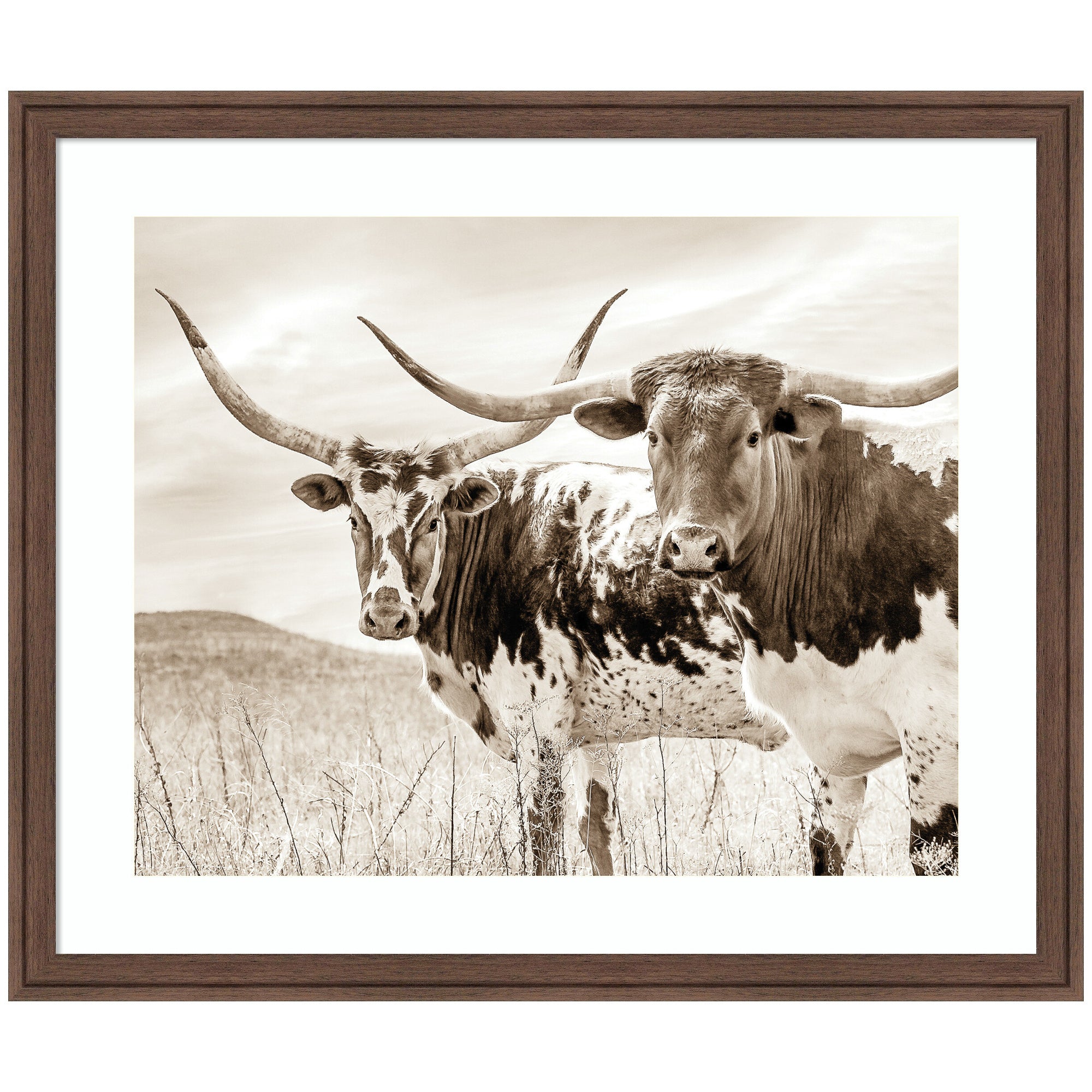 Sepia Texas Longhorn Cattle in Pasture by The Creative Bunch Studio Framed Wall Art Print