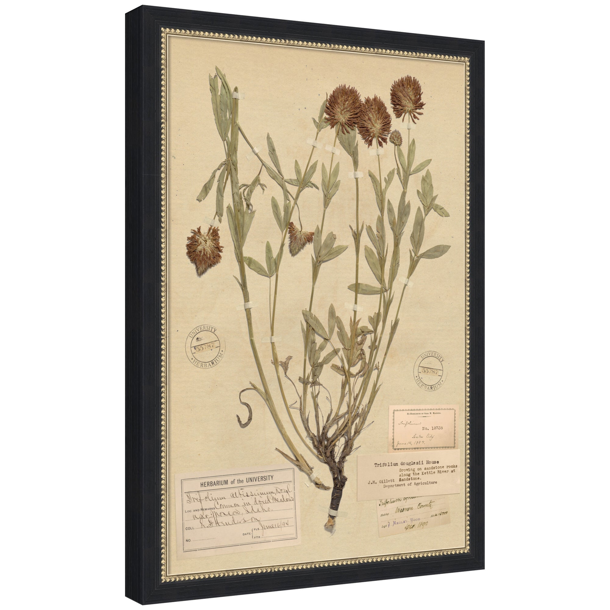 Framed Art 18x26 Belmont Black 7