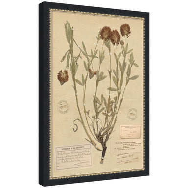 Framed Art 18x26 Belmont Black 7
