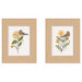 Framed Art Set 2 Piece Set 15x19 Svelte White 1