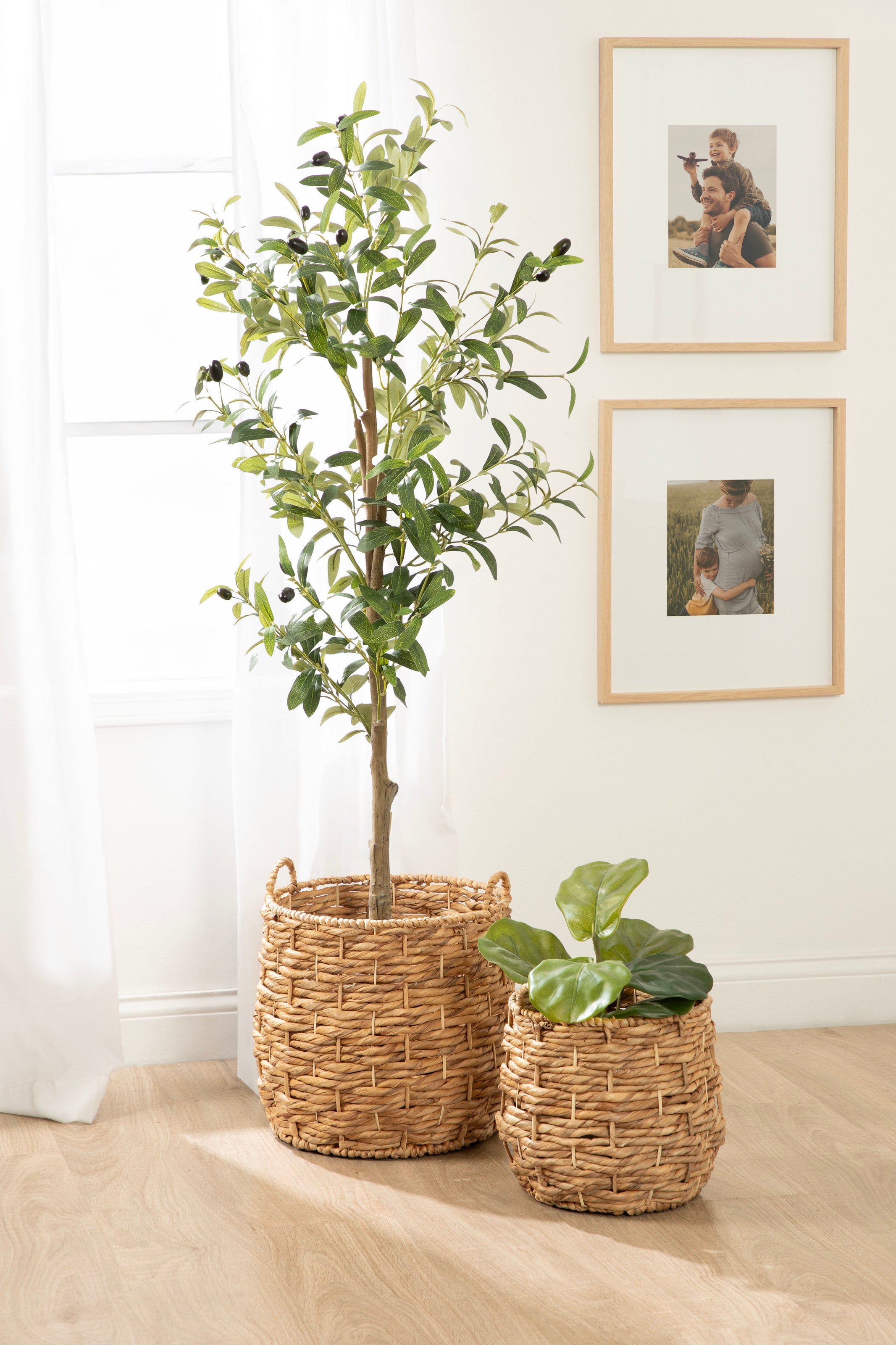 Livia Woven Baskets