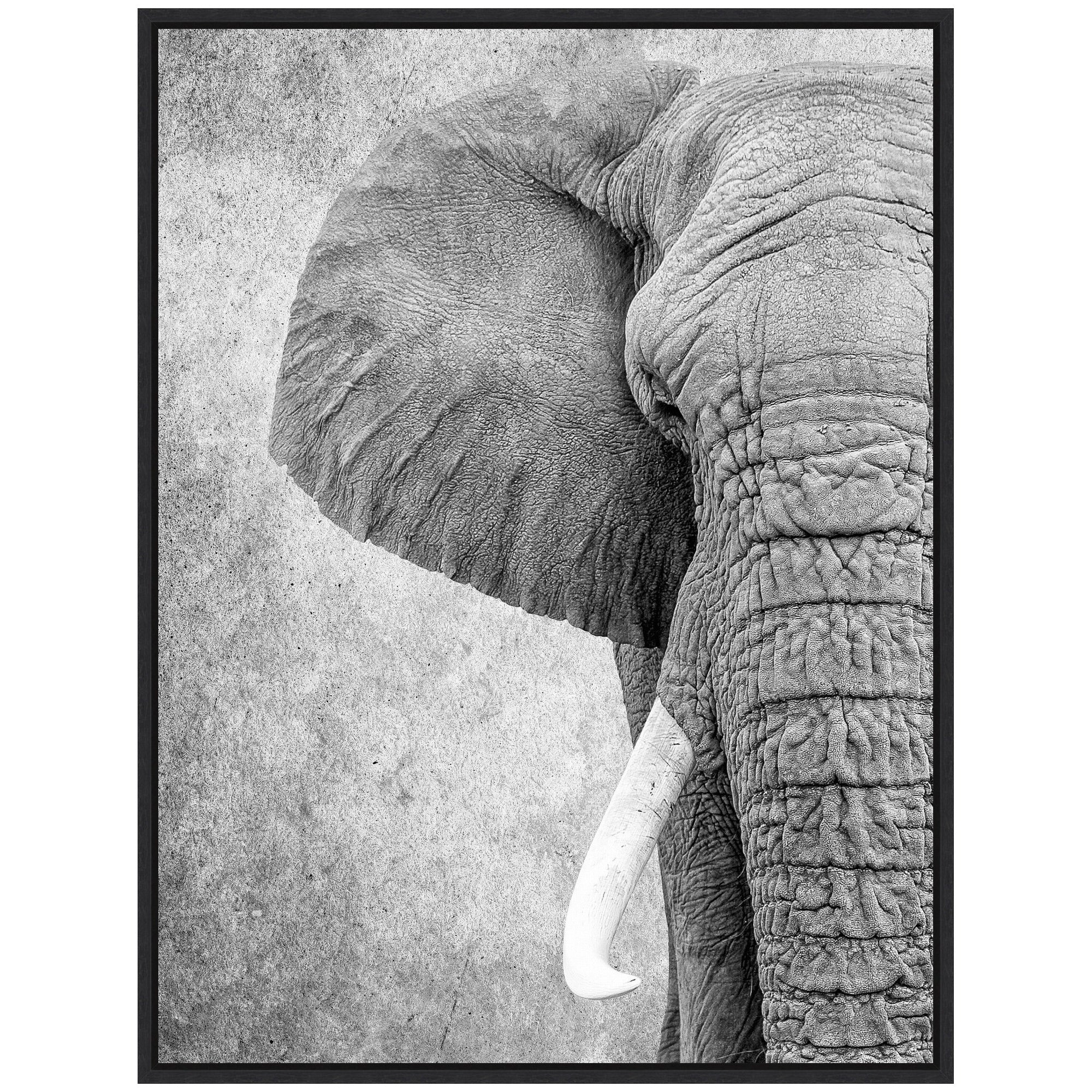 Sylvie Black and White Minimalist Safari Elephant Framed Canvas by Simon Te of Tai Prints