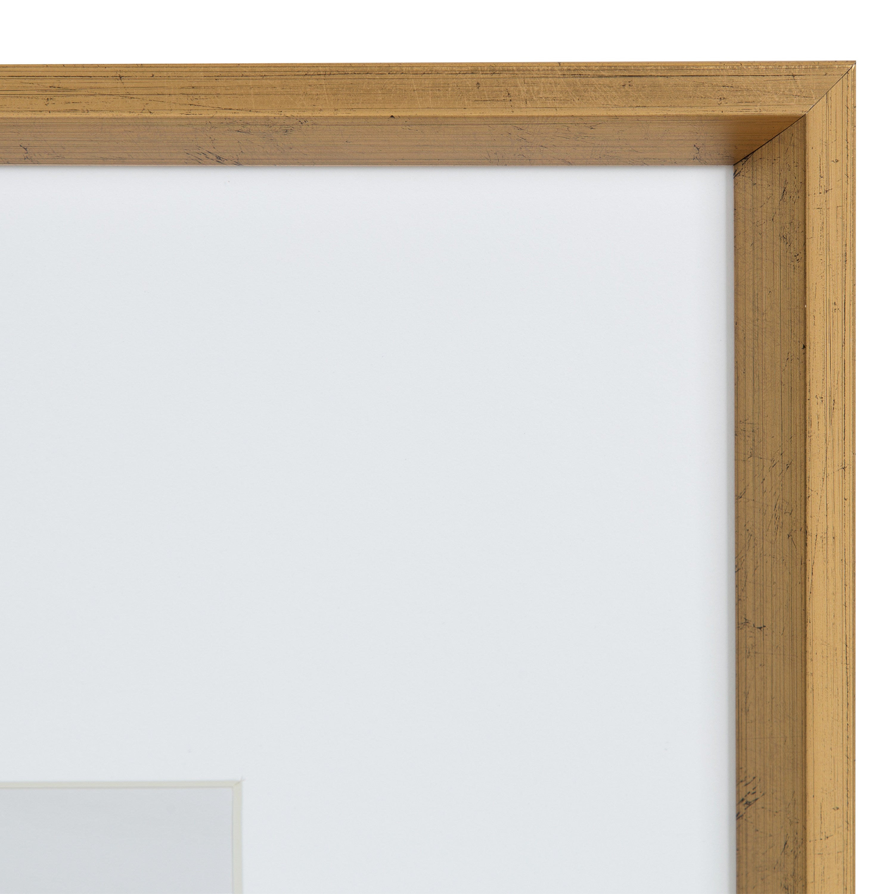 Wall Frame Gold 16x20 matted to 8x10 4