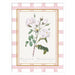 Mounted Canvas 19x25 Svelte White 1