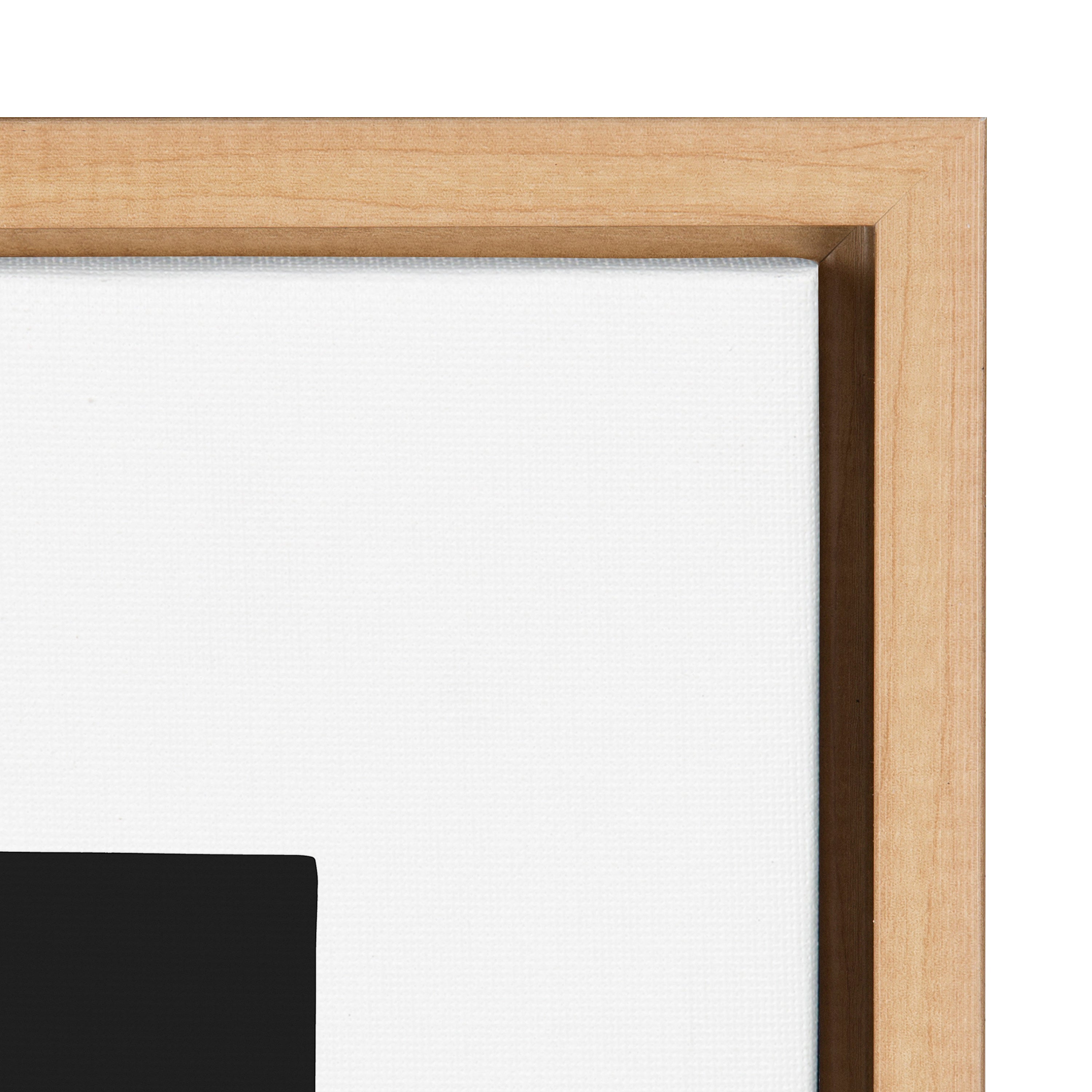 Sylvie Geometric Framed Canvas Set by Statement Goods