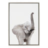 Sylvie Young Elephant Framed Canvas by Amy Peterson