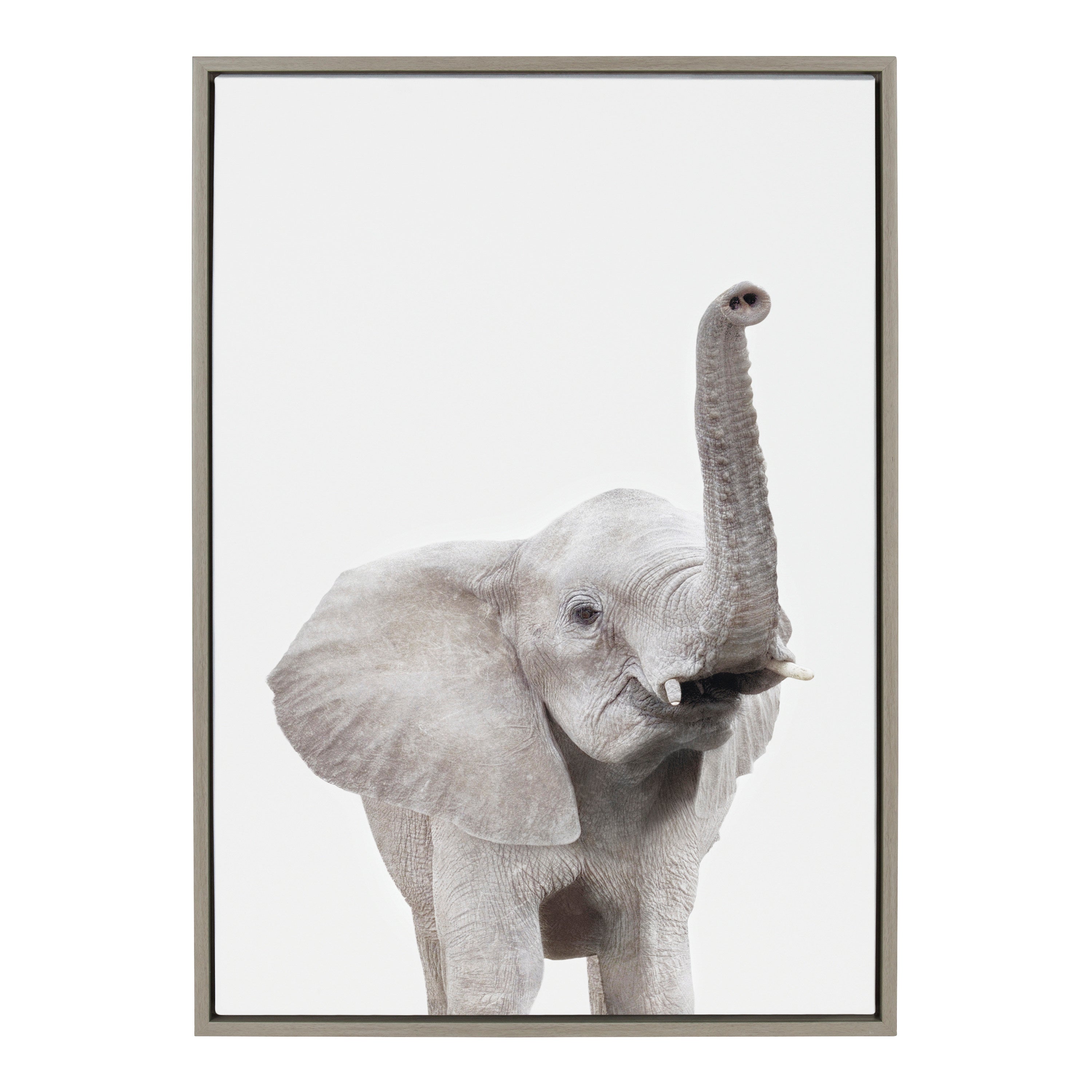 Sylvie Young Elephant Framed Canvas by Amy Peterson