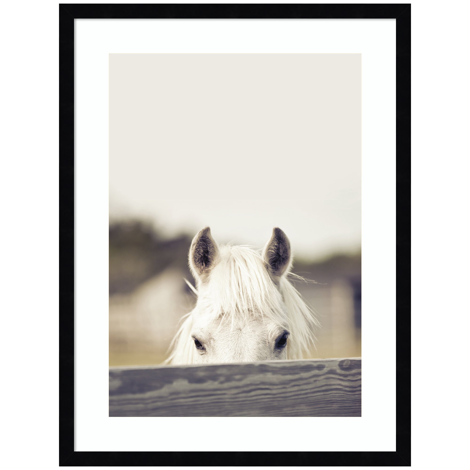 Equine Crop by Robert Cadloff Framed Wall Art Print