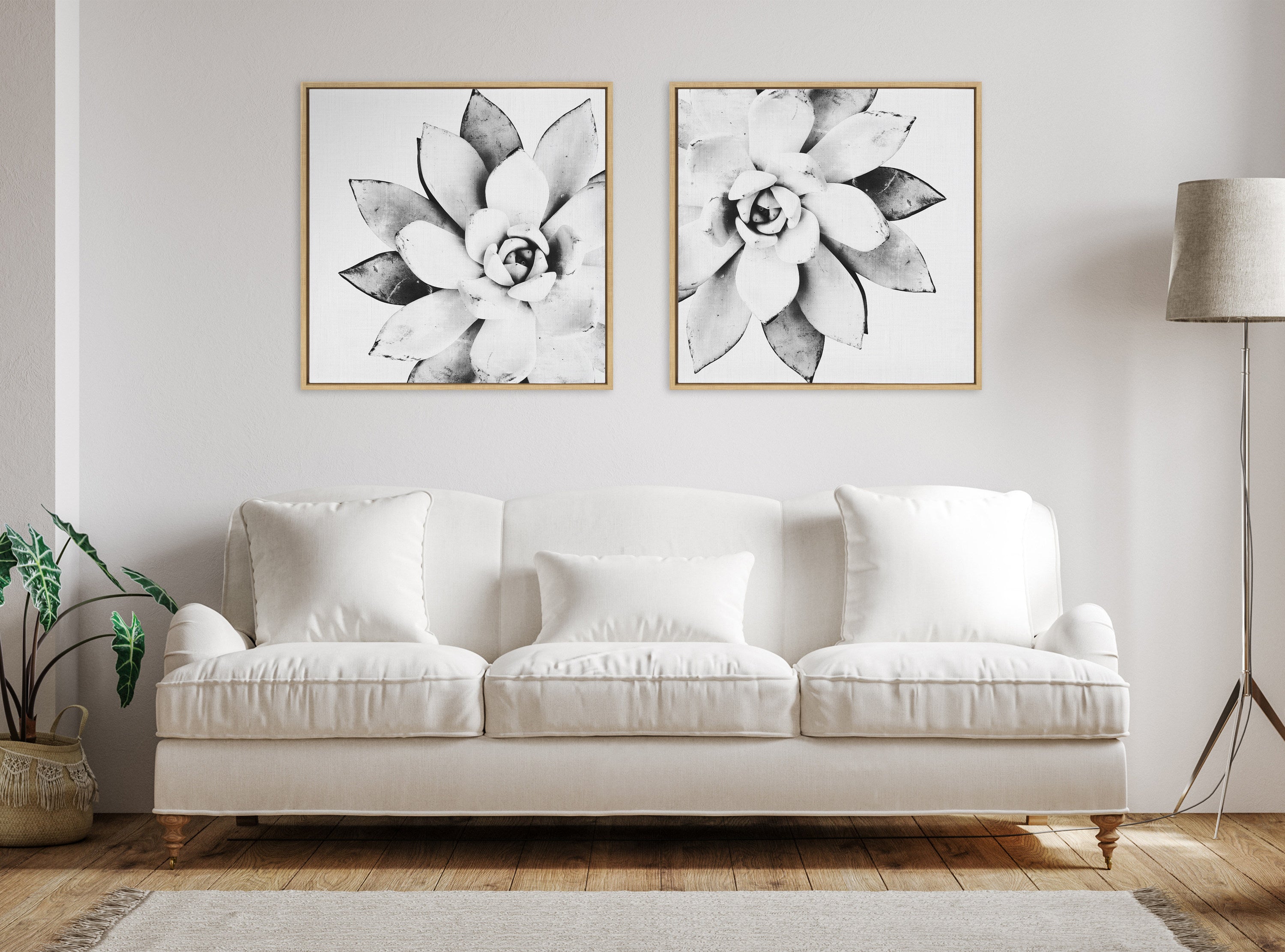 Sylvie Succulent Framed Canvas by Simon Te of Tai Prints