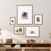 Frame Box Set Natural 5 Piece 7