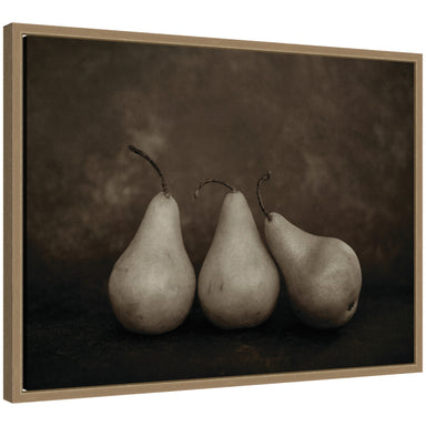 Framed Canvas 24x18 Sylvie Dark Gold 1