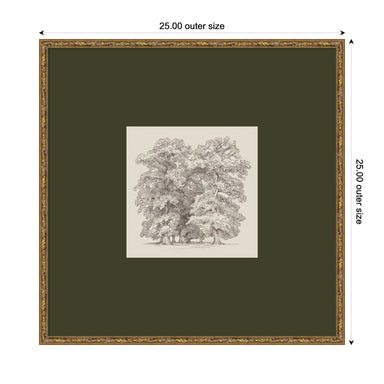 Framed Art 25x25 Belvedere Bronze 2
