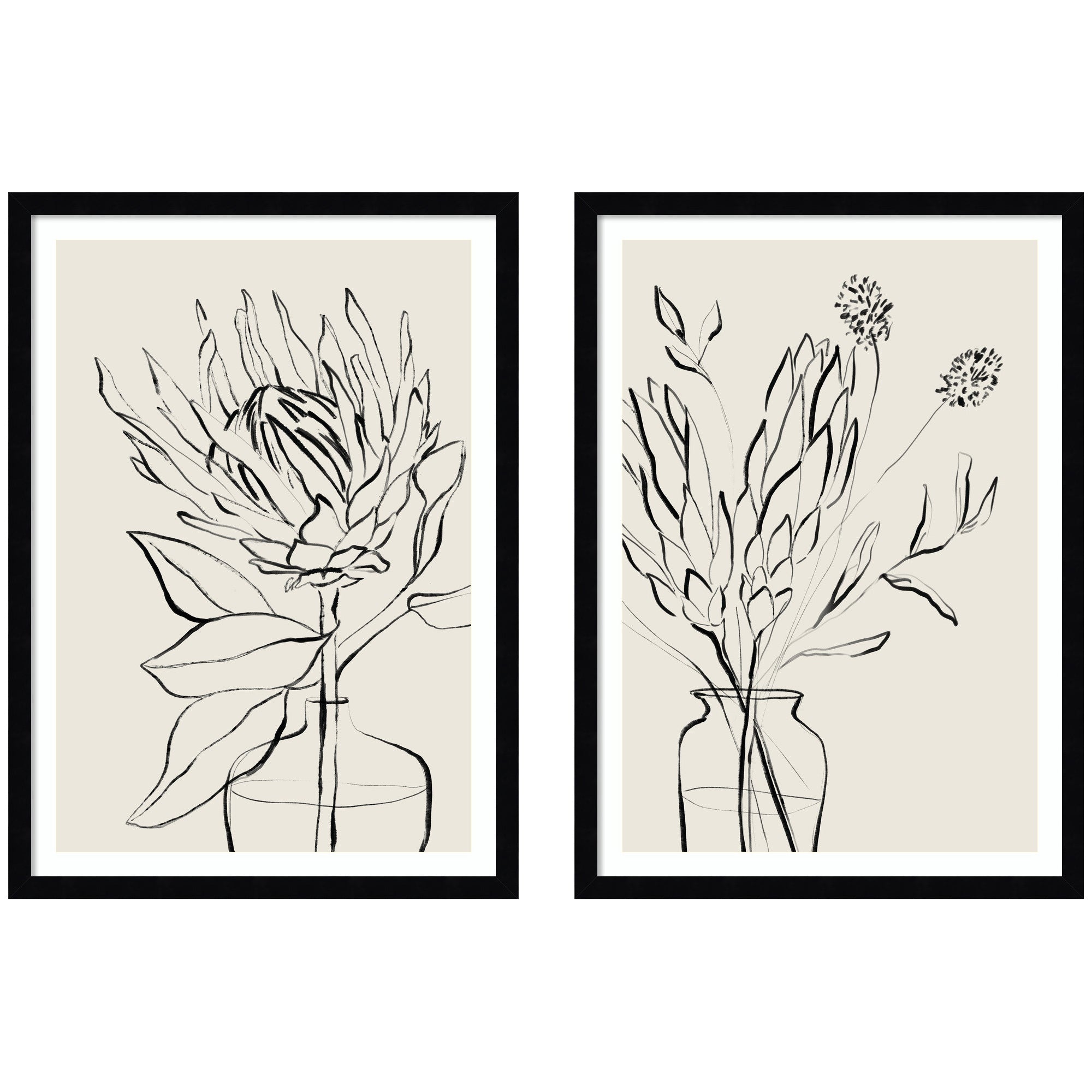 SB Protea Sketch No. 1 & No. 2 2 Piece Framed Wall Art Print Set by Sara Berrenson