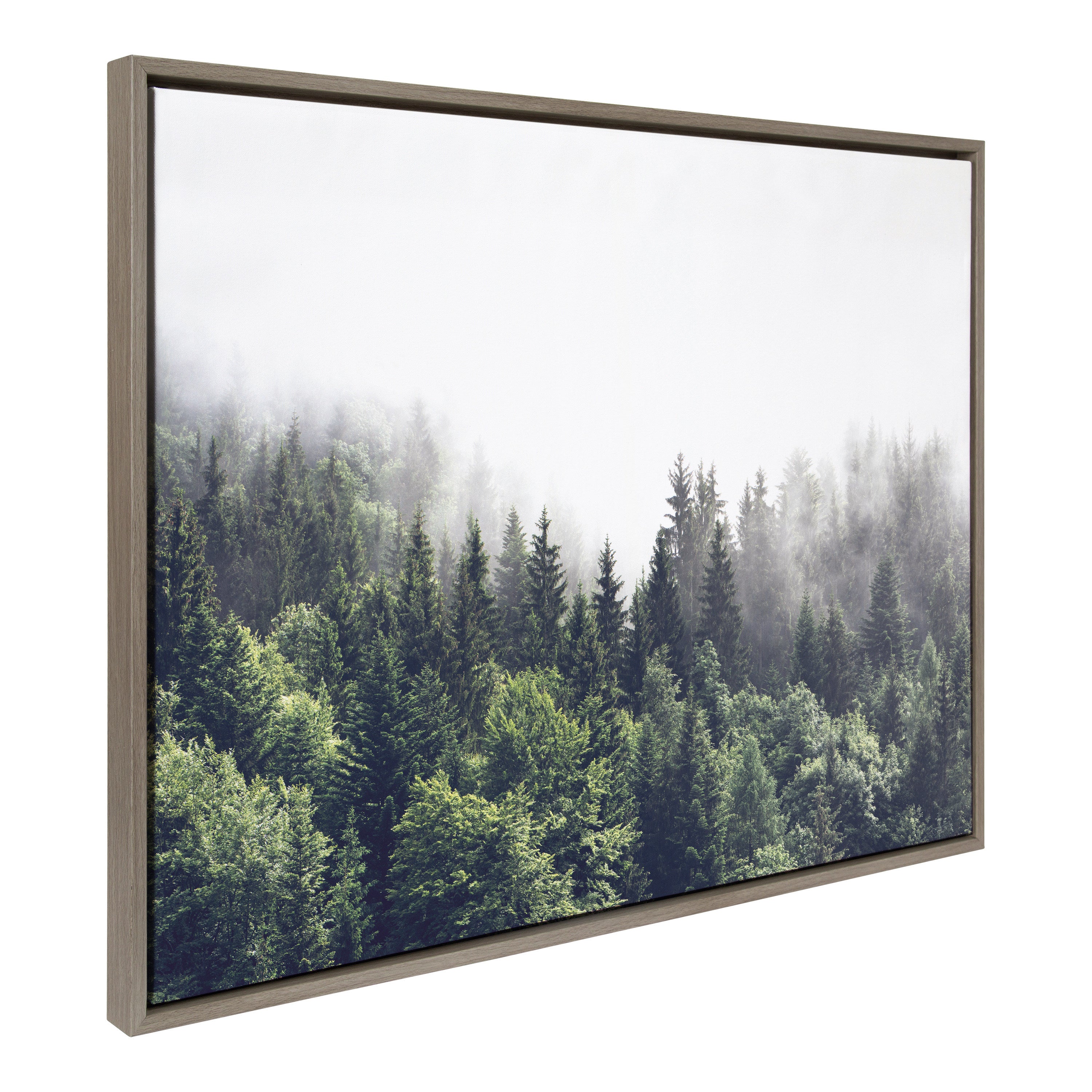Framed Canvas Sylvie Graywash 28x38 2