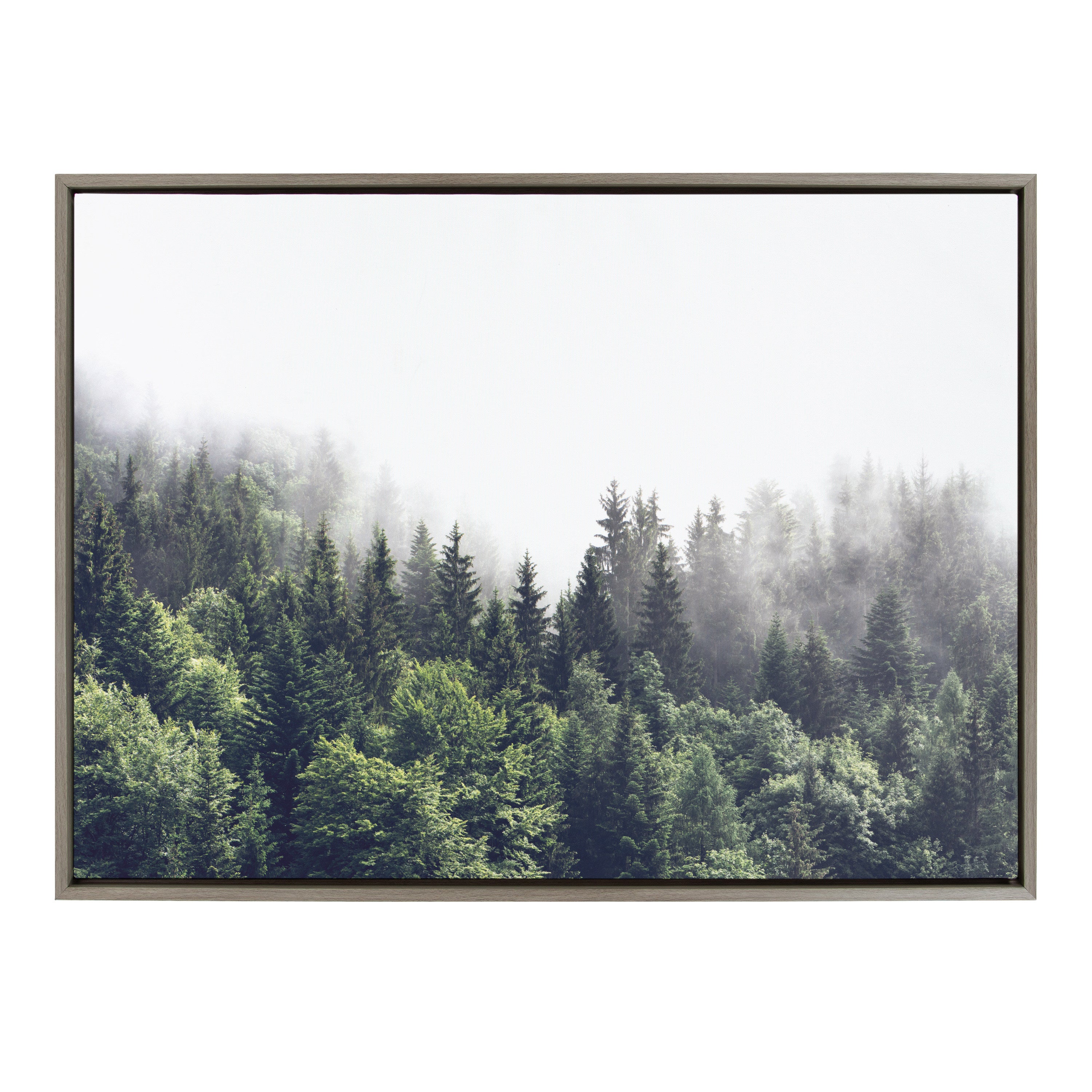 Framed Canvas Sylvie Graywash 28x38 1
