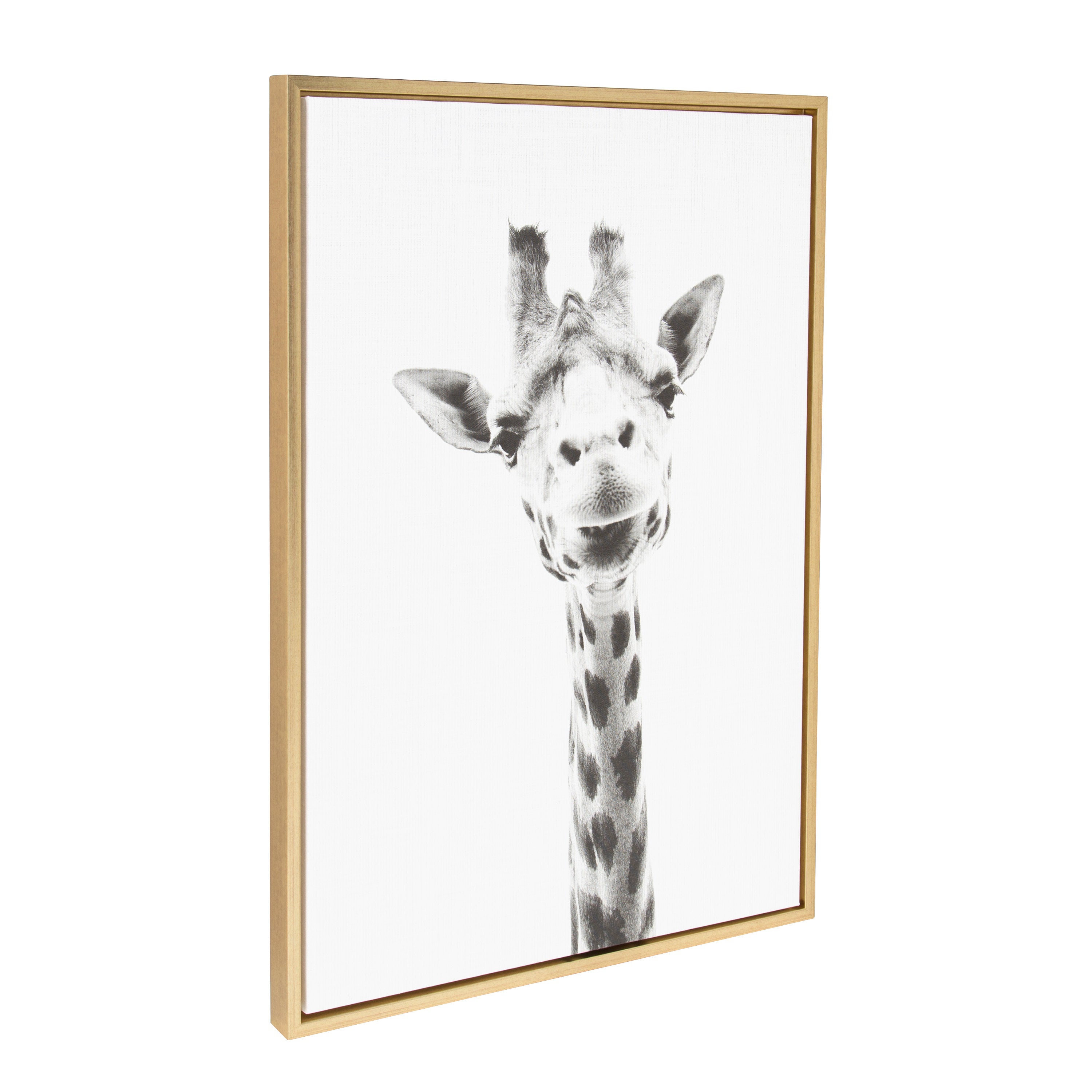 Framed Canvas Sylvie Bright Gold 23x33 2