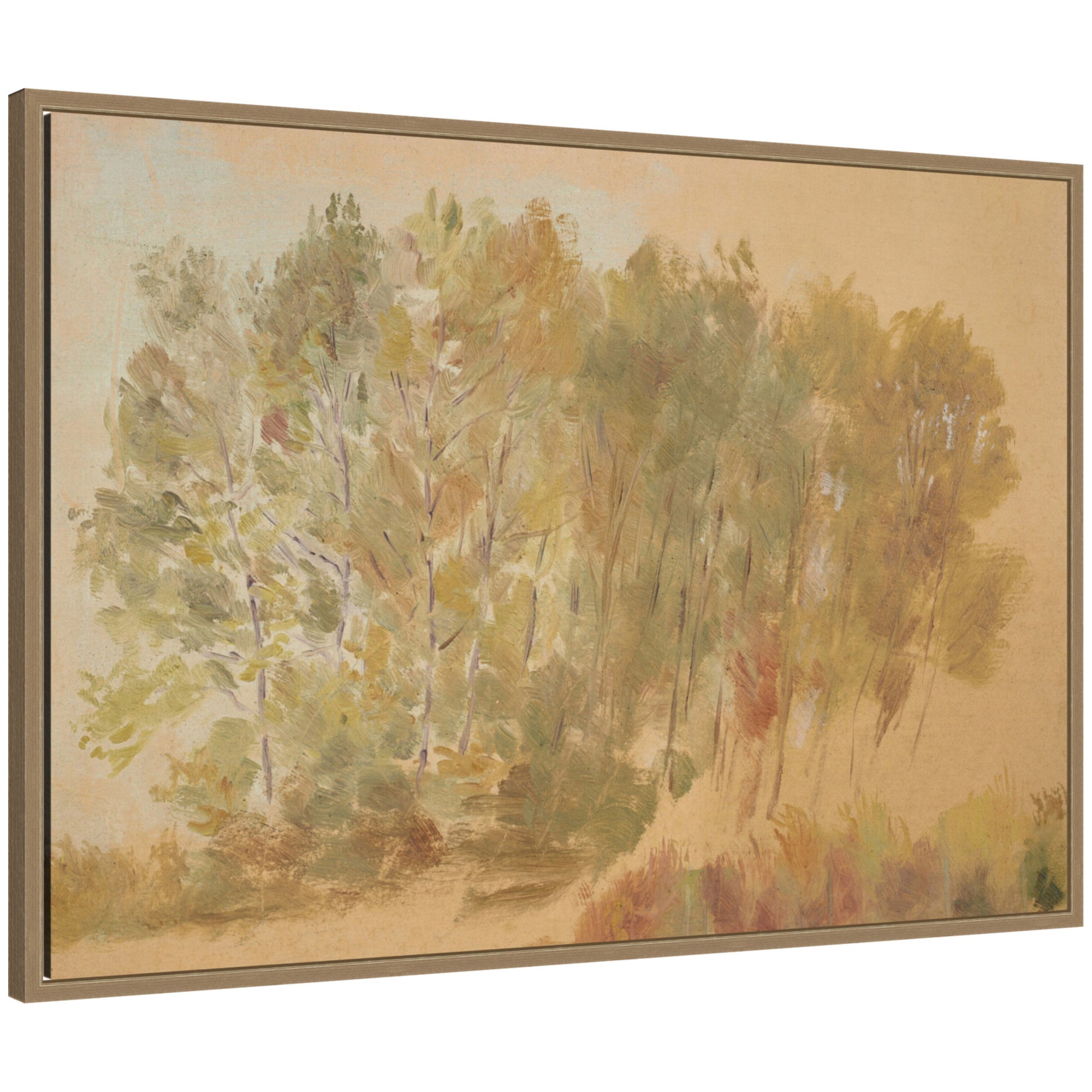 Framed Canvas 33x23 Sylvie Dark Gold 1