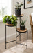 Plant Stand Black 17x22x30 5