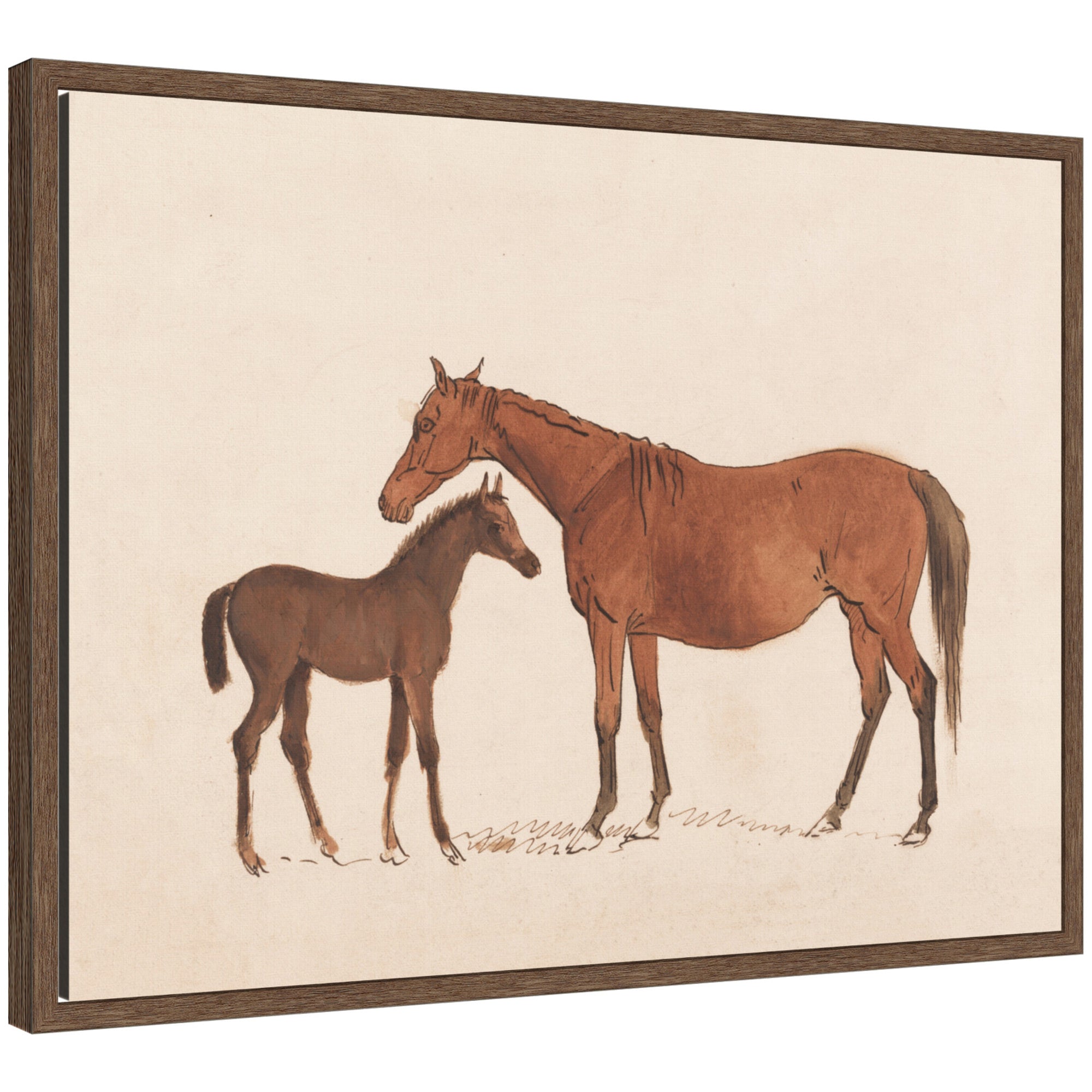 Framed Canvas 24x18 Sylvie Walnut 1