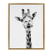 Framed Canvas Sylvie Bright Gold 18x24 1