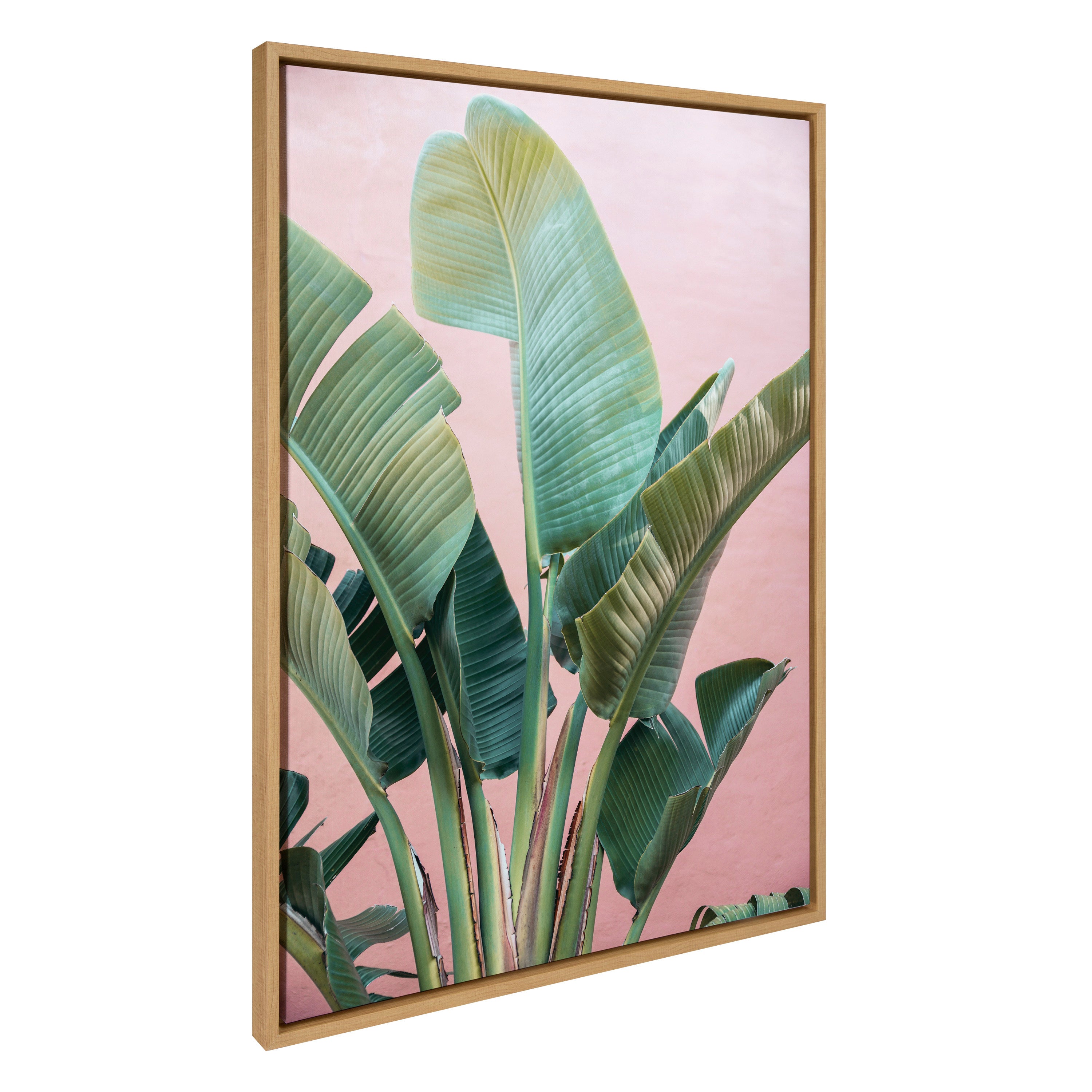 Sylvie Tropic Pink Framed Canvas by Alicia Bock