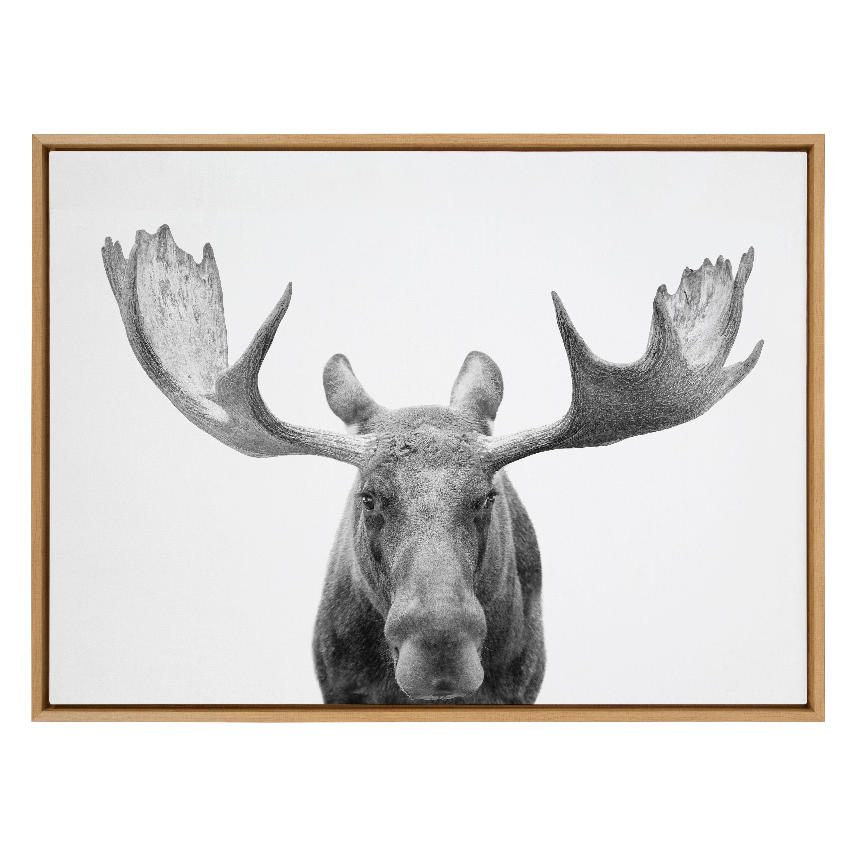 Sylvie Moose Black and White Framed Canvas by Amy Peterson Art Studio