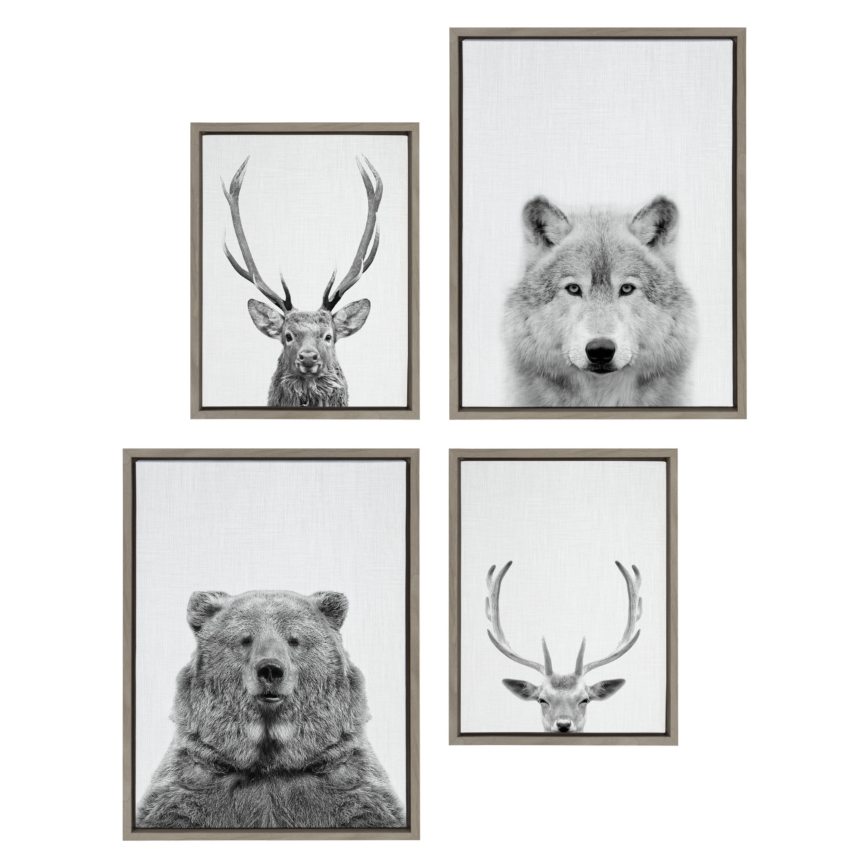 Sylvie Deer, Wolf, Bear European and Cervus Elaphus The Red Deer Black and White Framed Canvas Art Set by Simon Te of Tai Prints