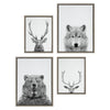 Sylvie Deer, Wolf, Bear European and Cervus Elaphus The Red Deer Black and White Framed Canvas Art Set by Simon Te of Tai Prints