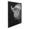Sylvie American Bison Buffalo Yellowstone Wildlife Animal BW Framed Canvas by Xyo
