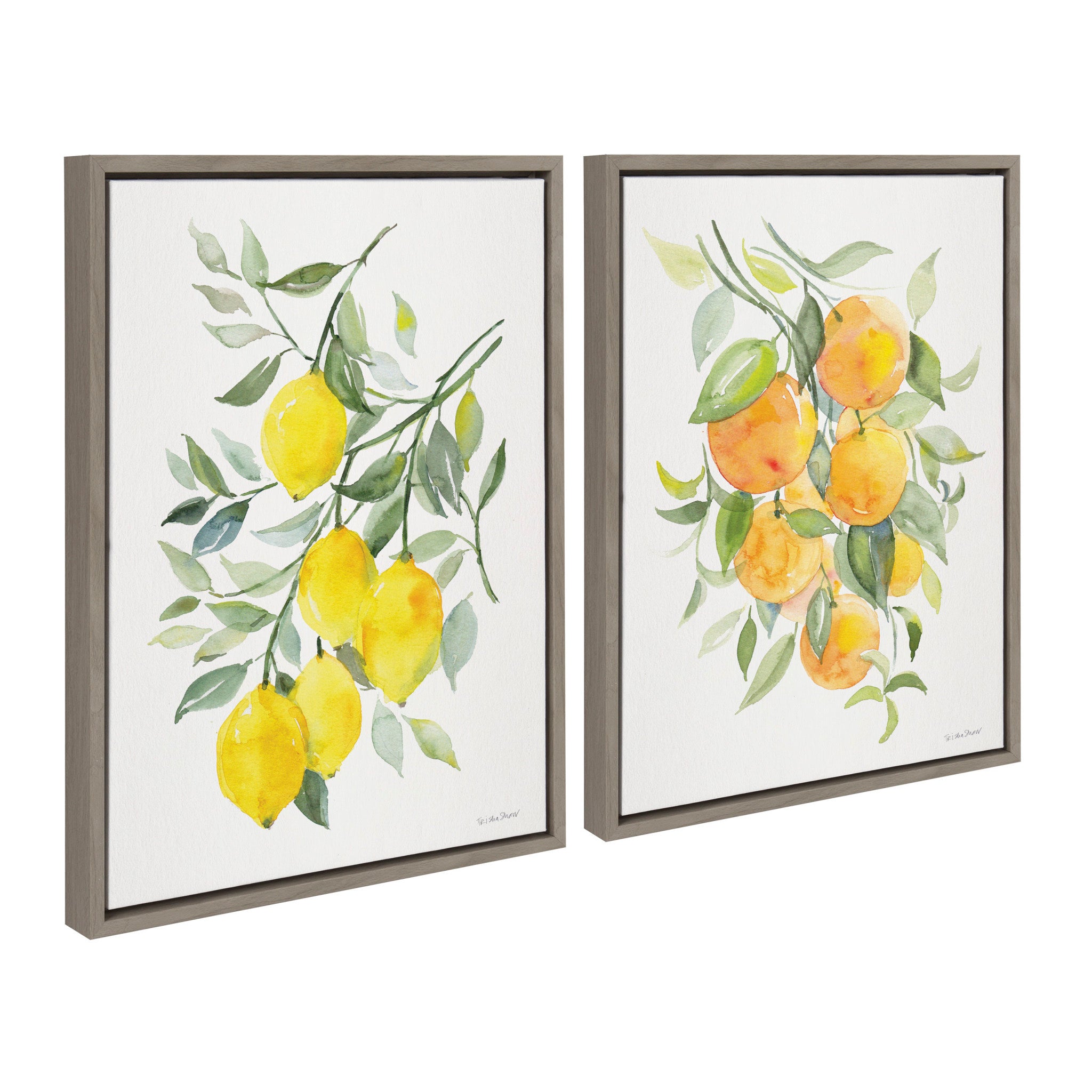 Sylvie Orange Citrus and Lemon Citrus Framed Canvas Art Set by Patricia Shaw