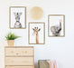 Framed Canvas Sylvie Bright Gold 18x24 6