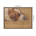 Framed Canvas 24x18 Sylvie Walnut 2
