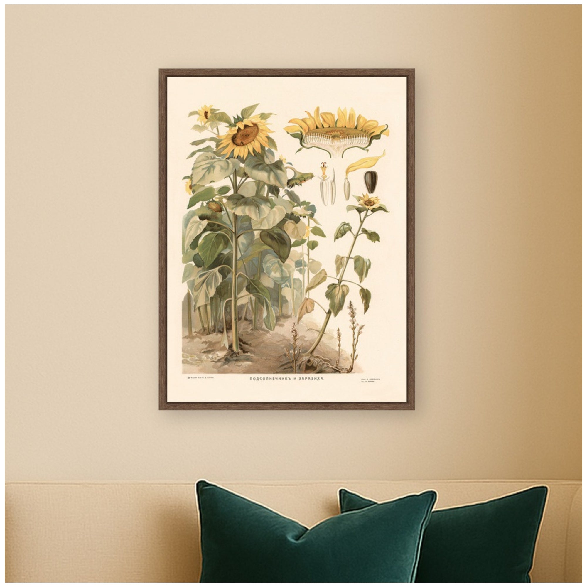 Framed Canvas 18x24 Sylvie Walnut 5